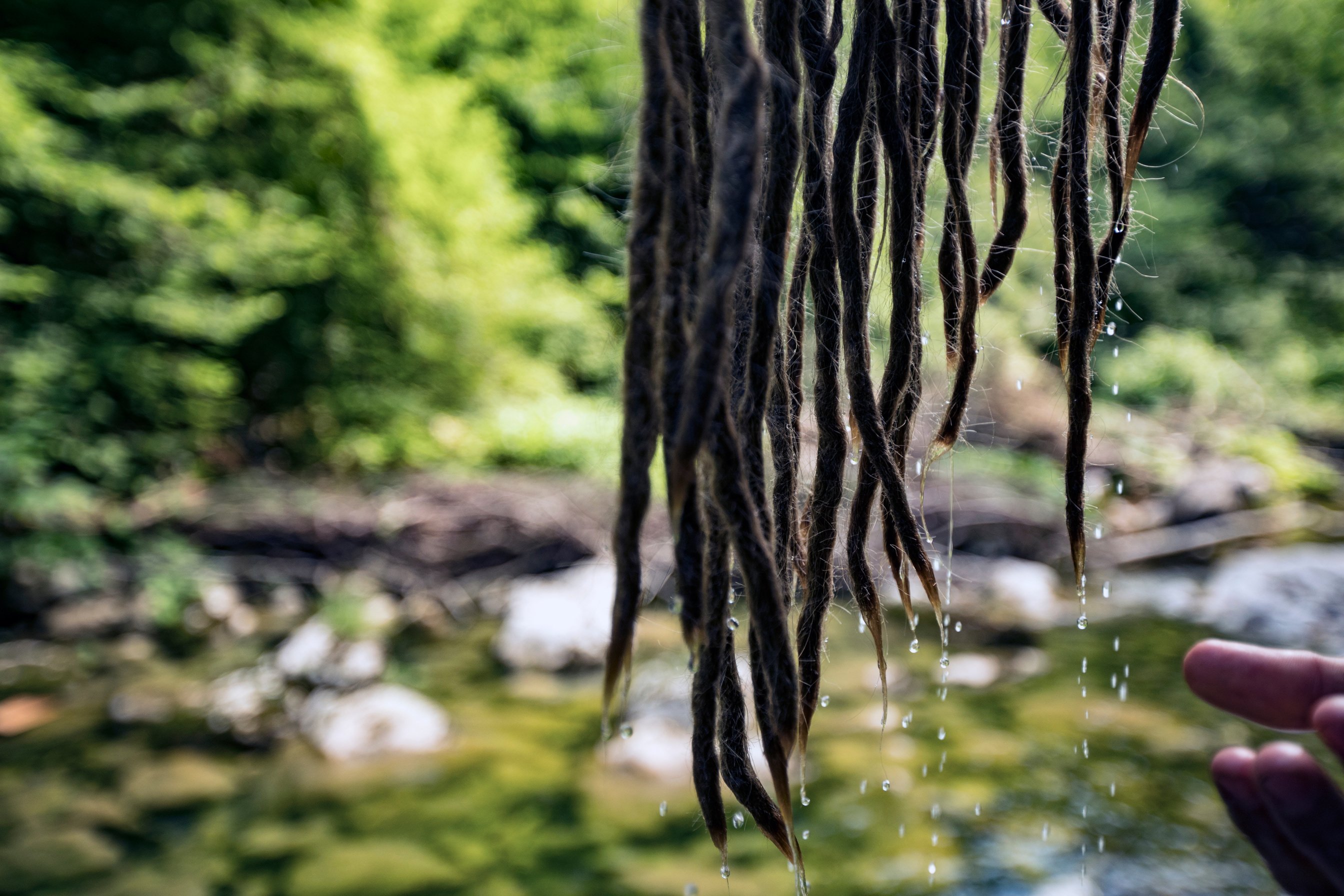 Dripping Wet Dreadlocks