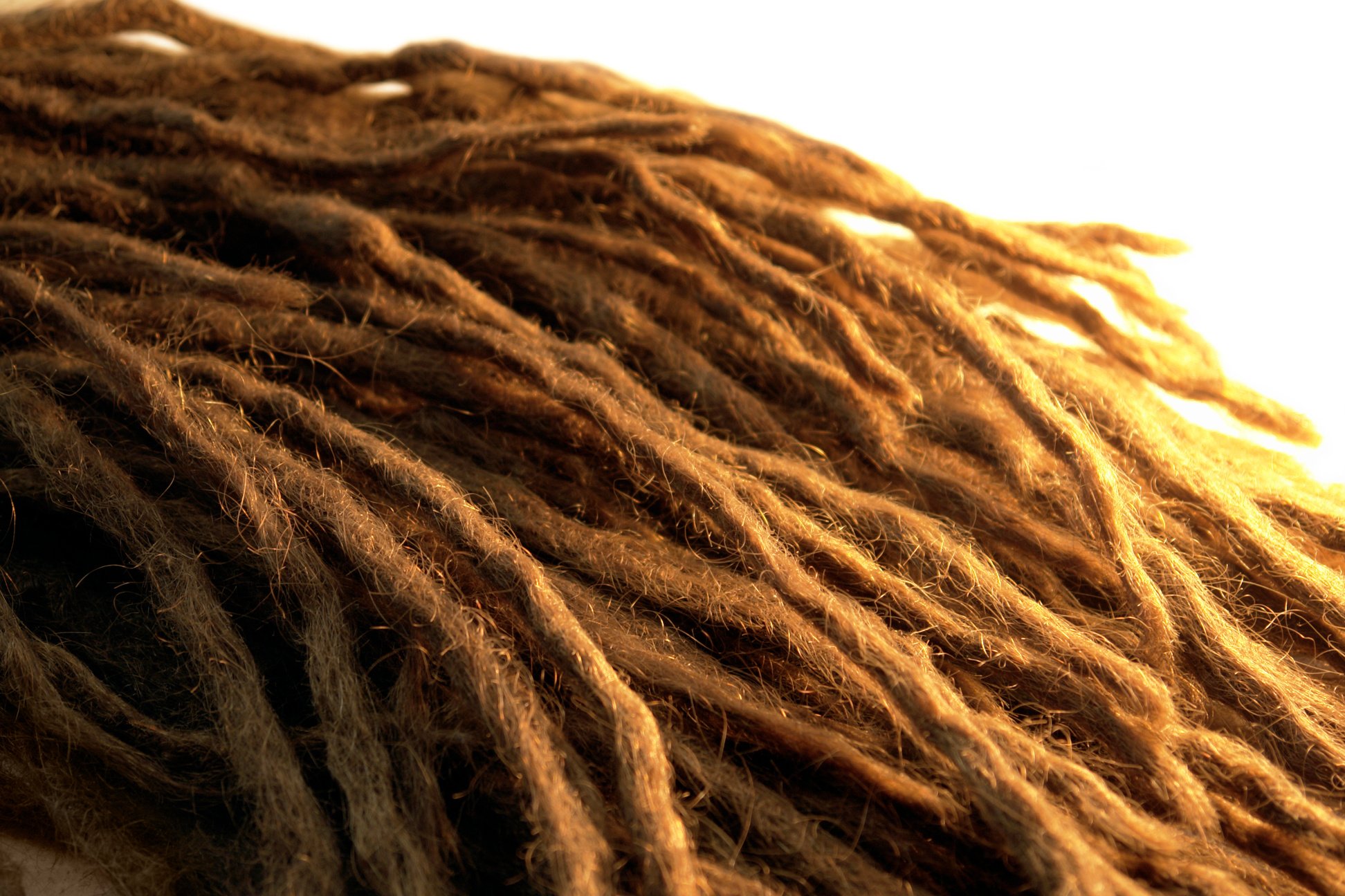 dreadlocks detail