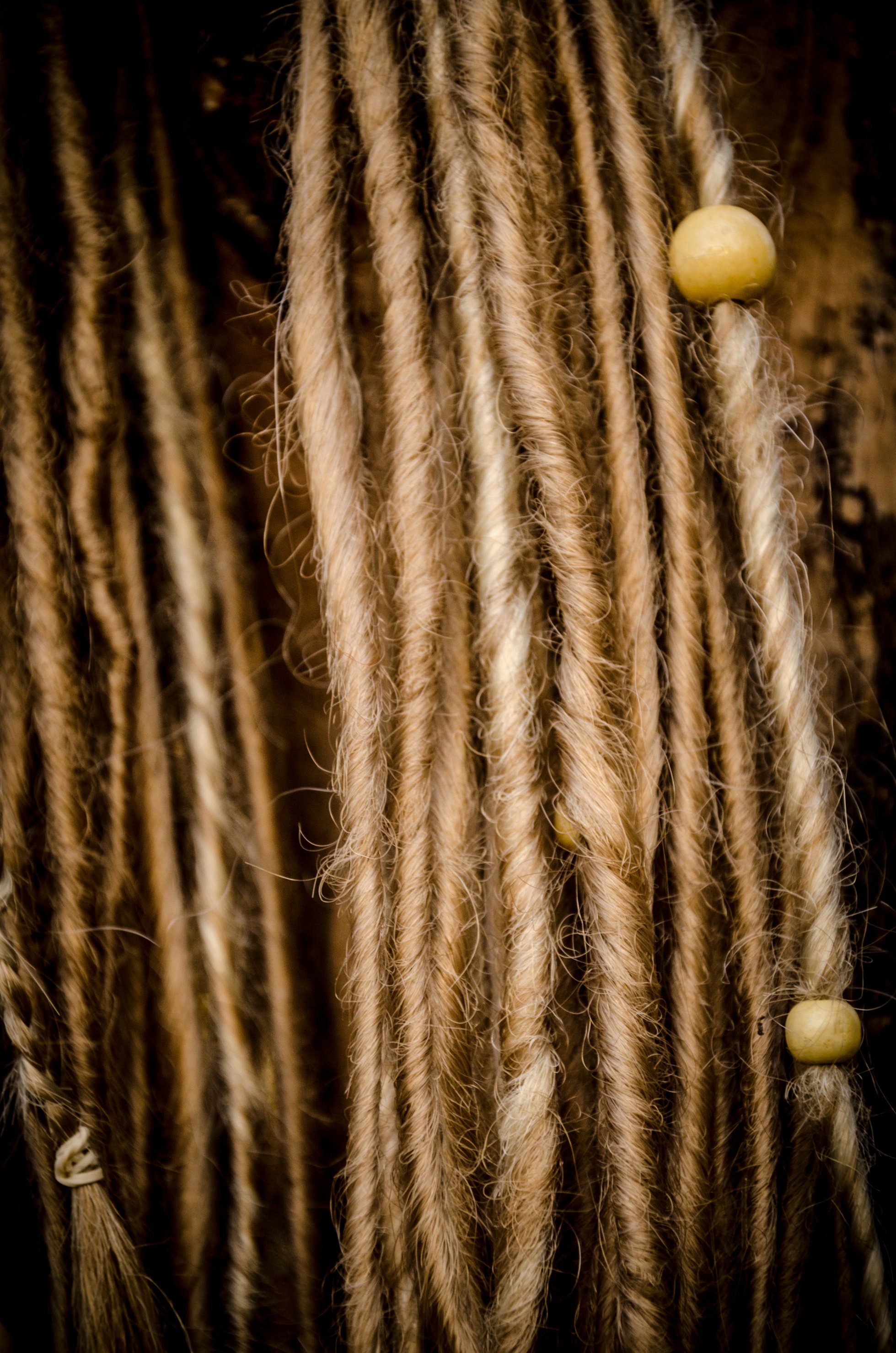 Blond dreadlocks